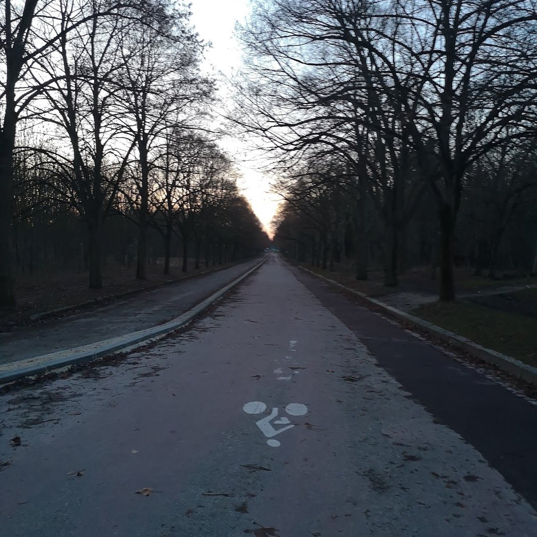 Aire de cyclisme et de course 1